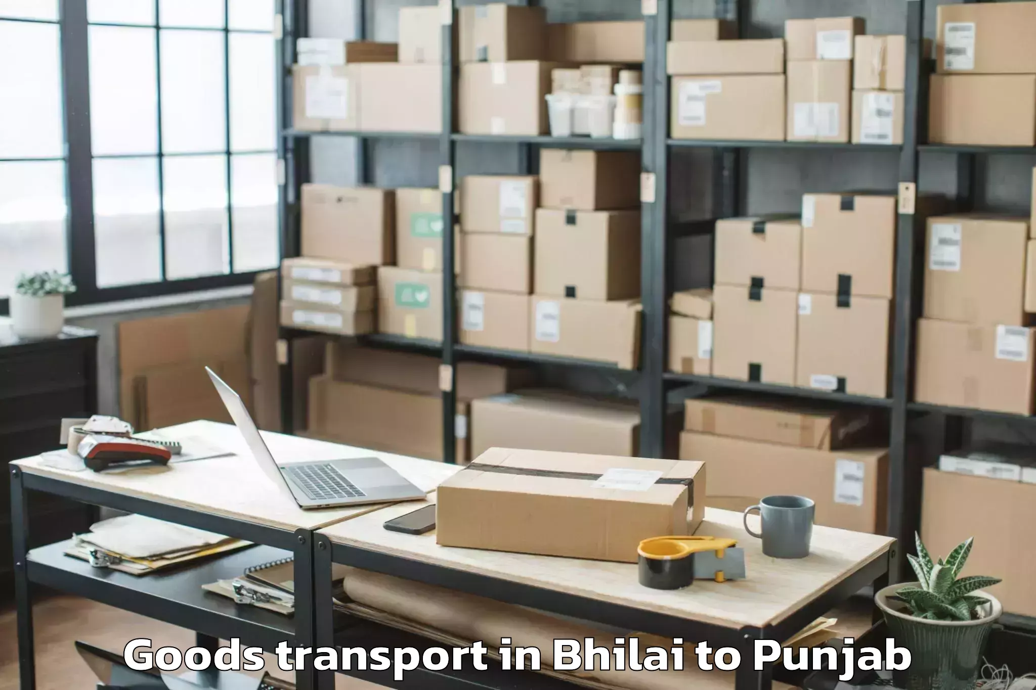 Trusted Bhilai to Adampur Goods Transport